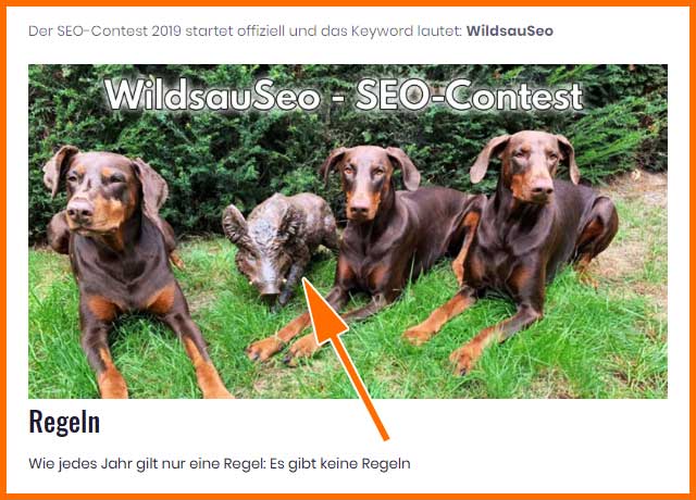 Wildsauseo Seo-Contest (keine Regeln!)